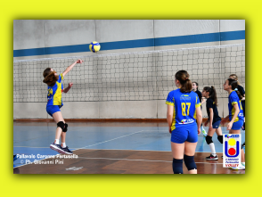 Volley S3 27.04.2025 (79).jpg